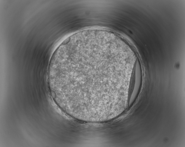 X0000114650860200912011111