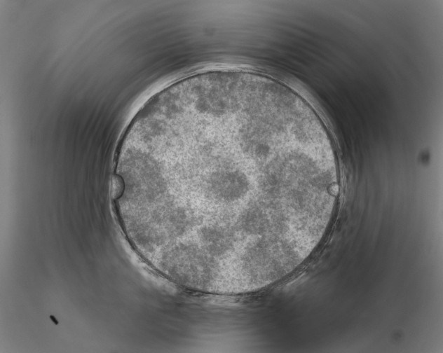 X0000114650861200912011111