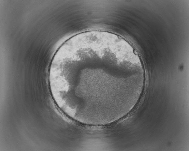 X0000114650862200912011111