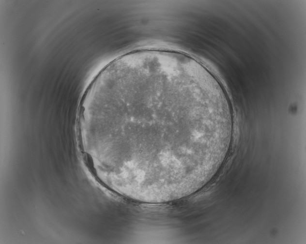 X0000114650863200912011111