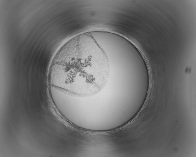 X0000114650864200912011111