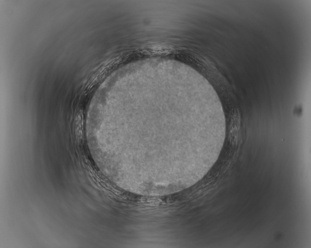 X0000114650866200912011110