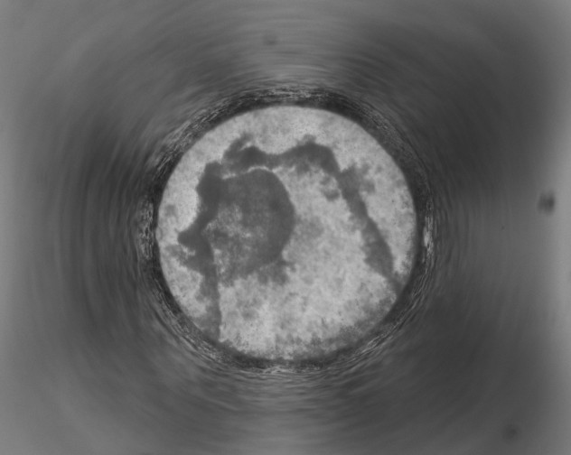 X0000114650867200912011110