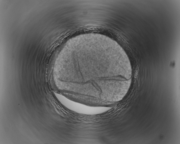 X0000114650868200912011110