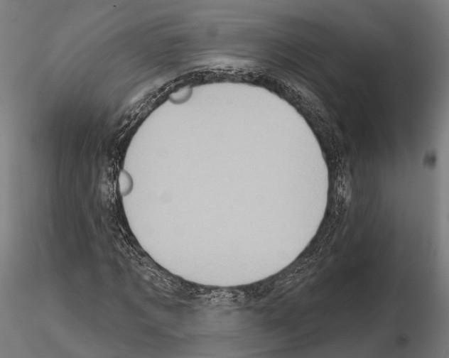 X0000114650869200912011110