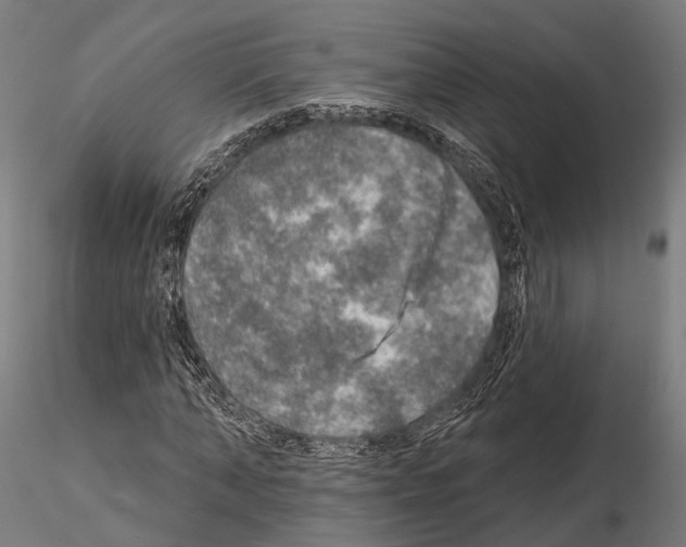 X0000114650870200912011110