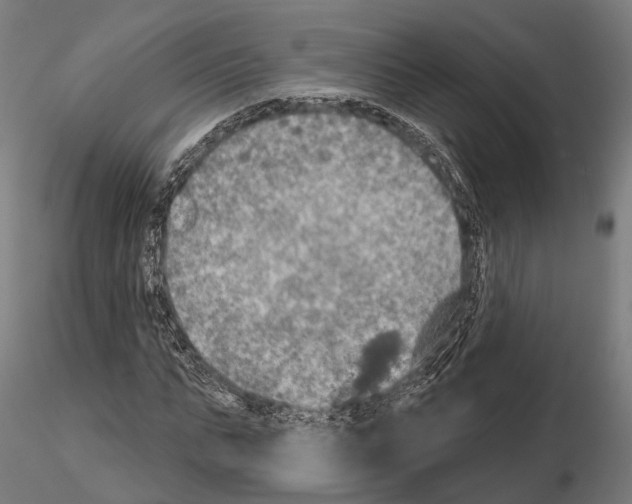 X0000114650871200912011110