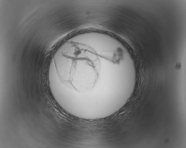 X0000114650872200912011110