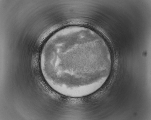 X0000114650874200912011110