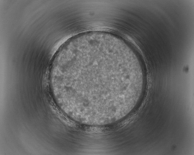 X0000114650875200912011110