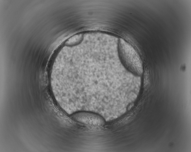 X0000114650876200912011110