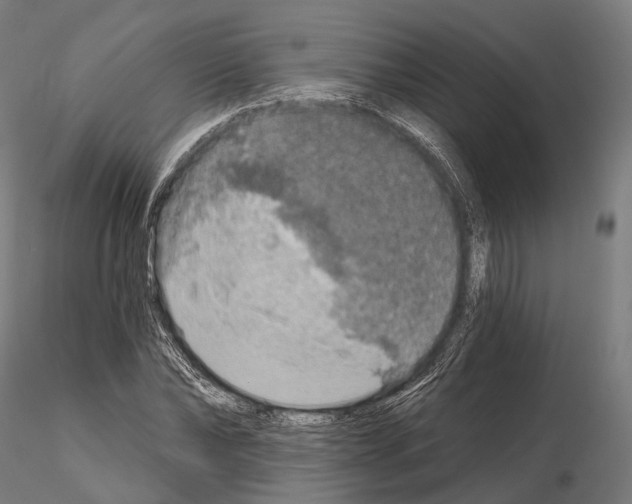 X0000114650878200912011110