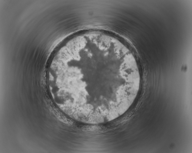 X0000114650879200912011110