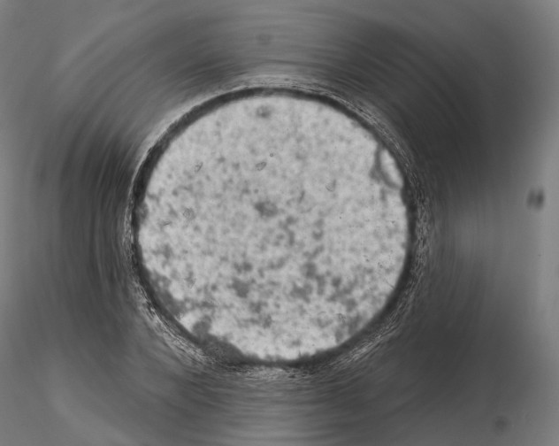 X0000114650880200912011110