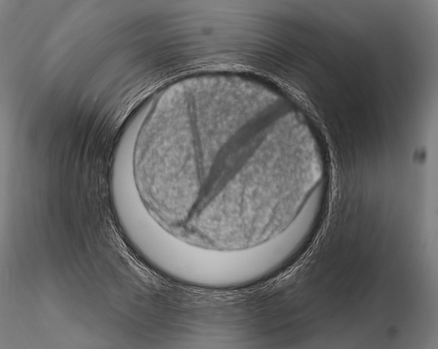 X0000114650881200912011110