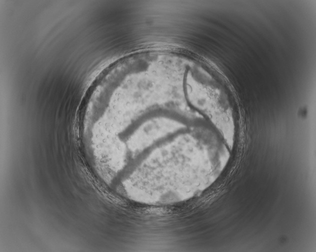 X0000114650883200912011110