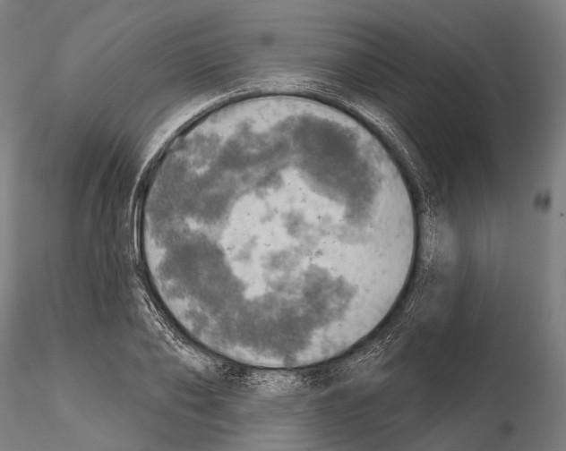 X0000114650886200912011110