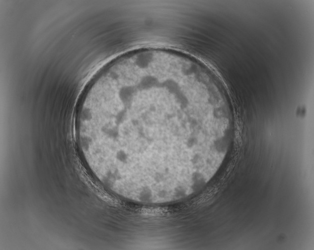 X0000114650887200912011110