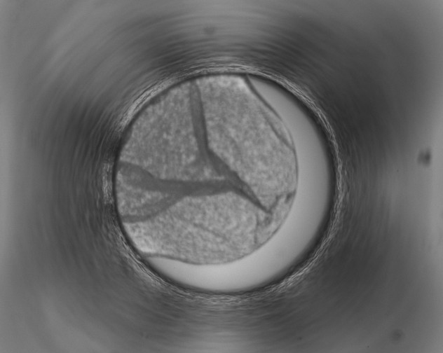 X0000114650889200912011110