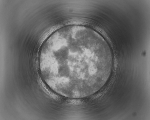 X0000114650890200912011110