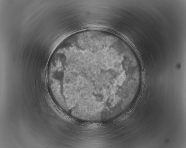 X0000114650891200912011110