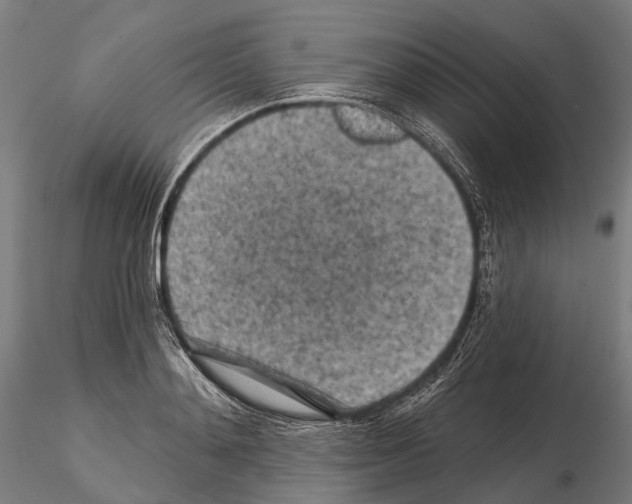 X0000114650892200912011110