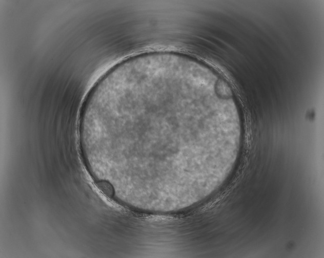 X0000114650894200912011110