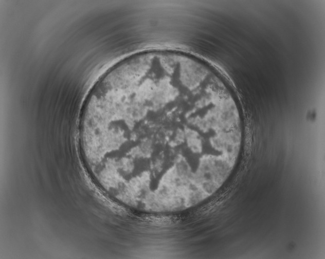 X0000114650895200912011110