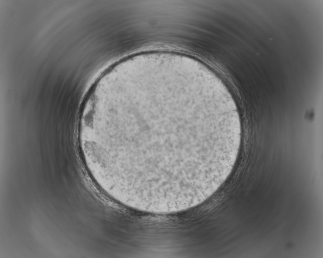 X0000114650896200912011110