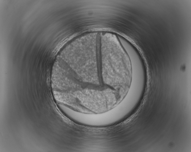 X0000114650897200912011110