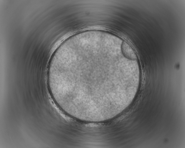 X0000114650898200912011110