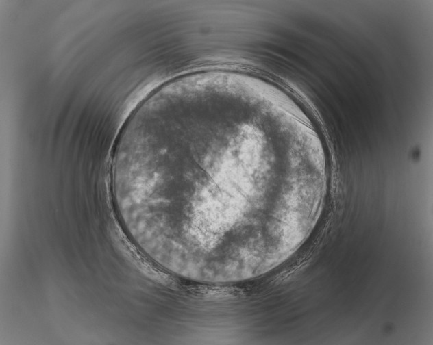 X0000114650899200912011110