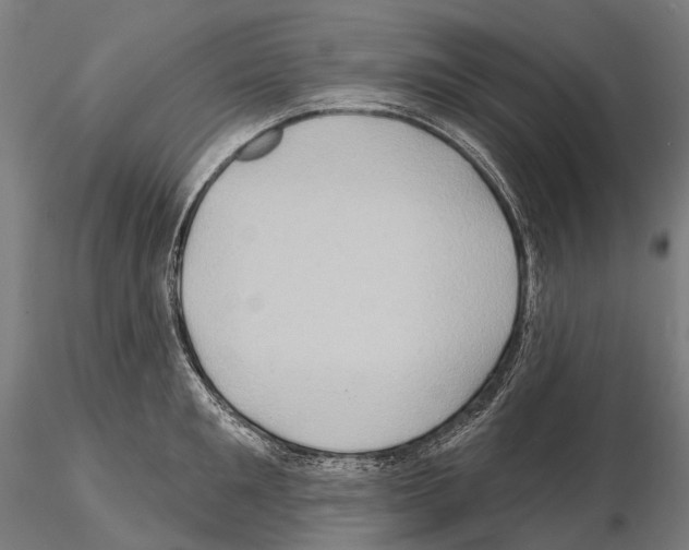 X0000114650901200912011110