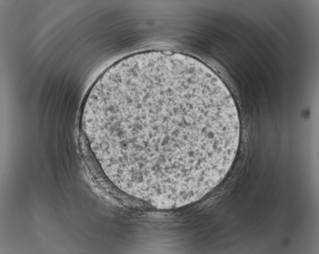 X0000114650904200912011110