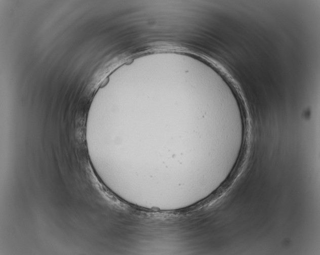 X0000114650905200912011110