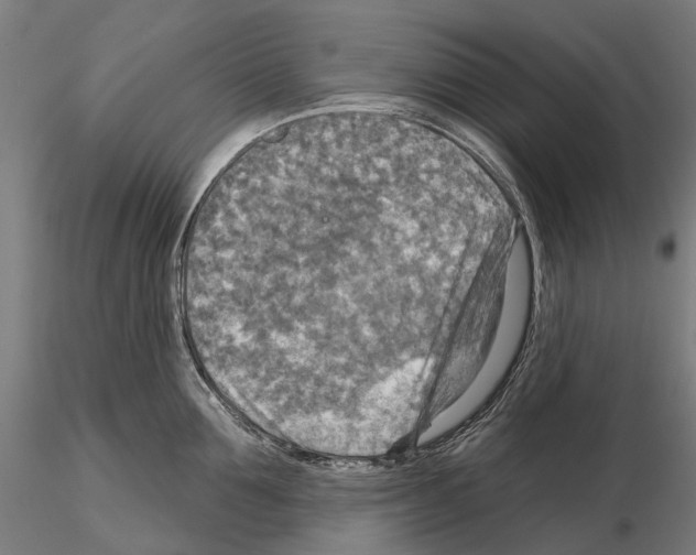 X0000114650907200912011110