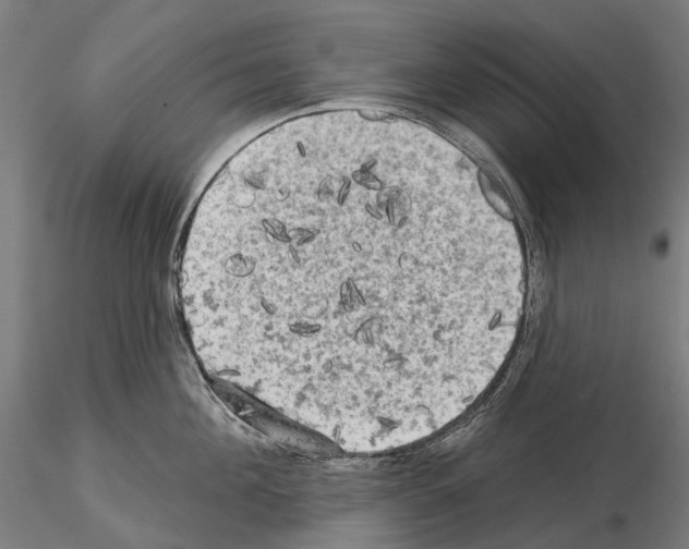 X0000114650908200912011109