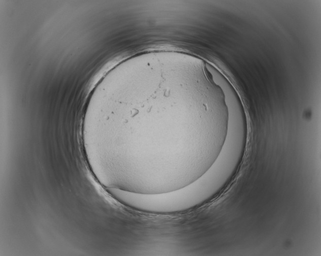 X0000114650909200912011109