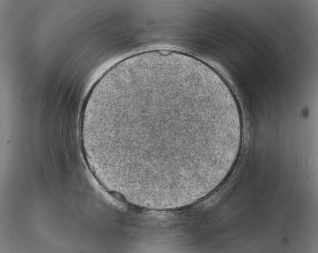 X0000114650910200912011109