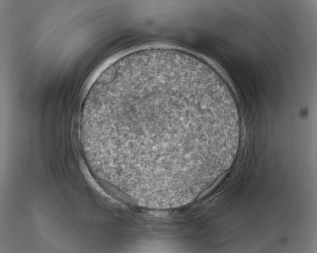 X0000114650911200912011109