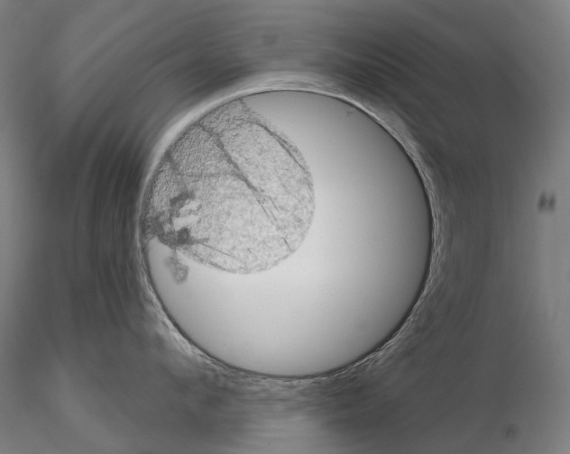 X0000114650912200912011109