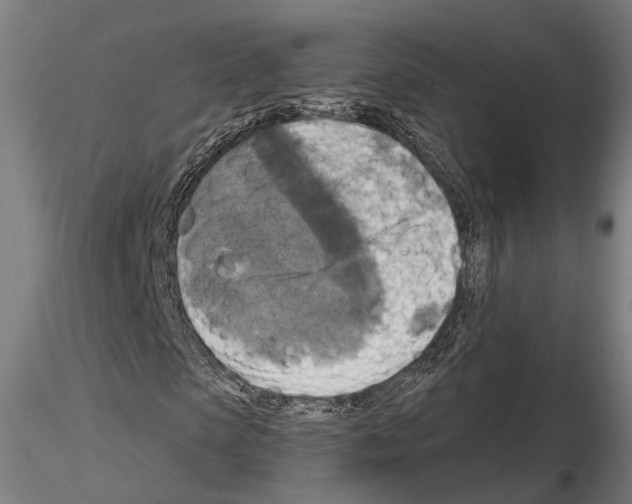 X0000114650913200912011109