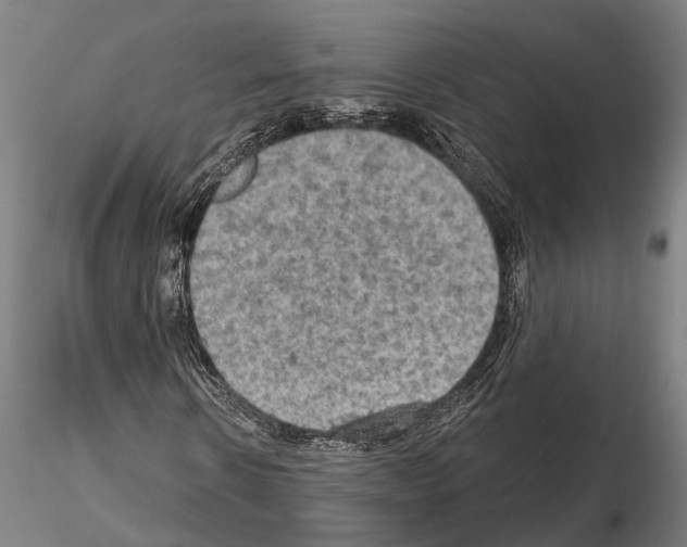 X0000114650914200912011109