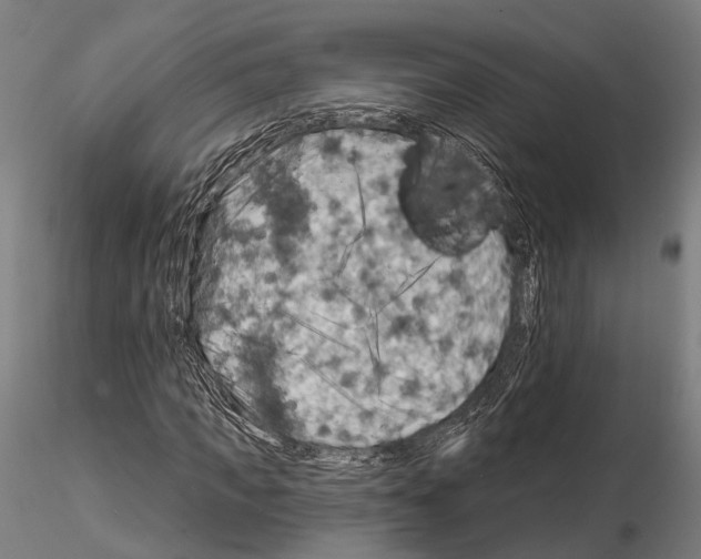 X0000114650917200912011109