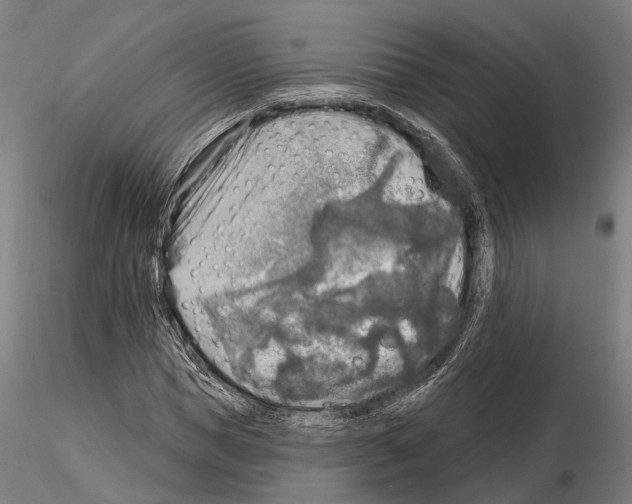 X0000114650921200912011109