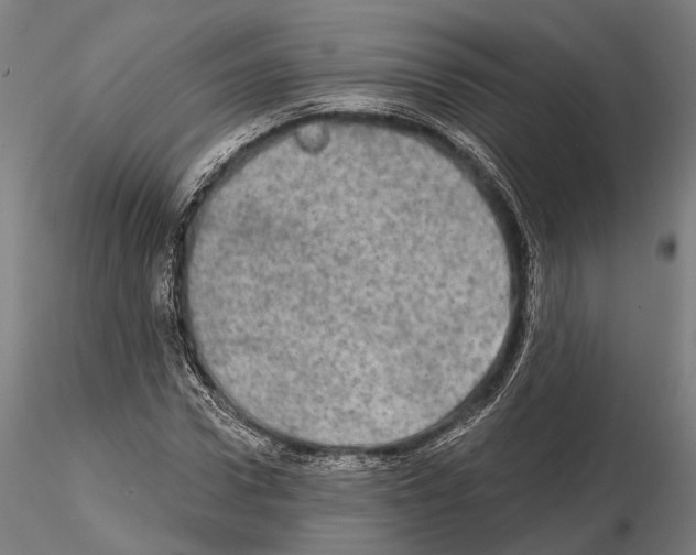 X0000114650922200912011109