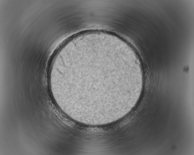 X0000114650927200912011109