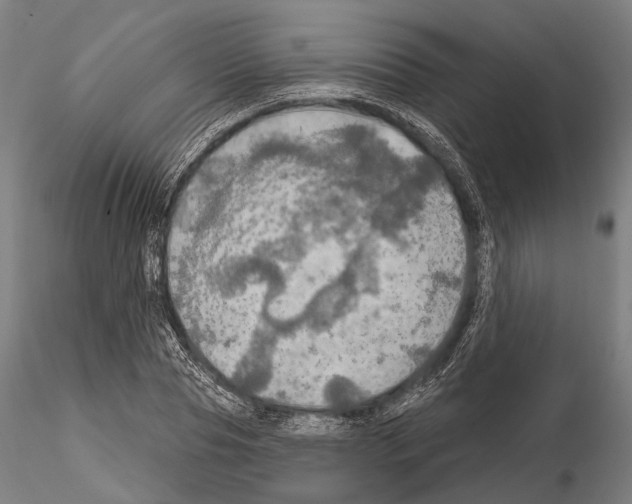 X0000114650929200912011109