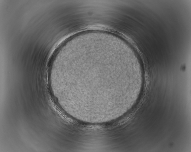 X0000114650931200912011109