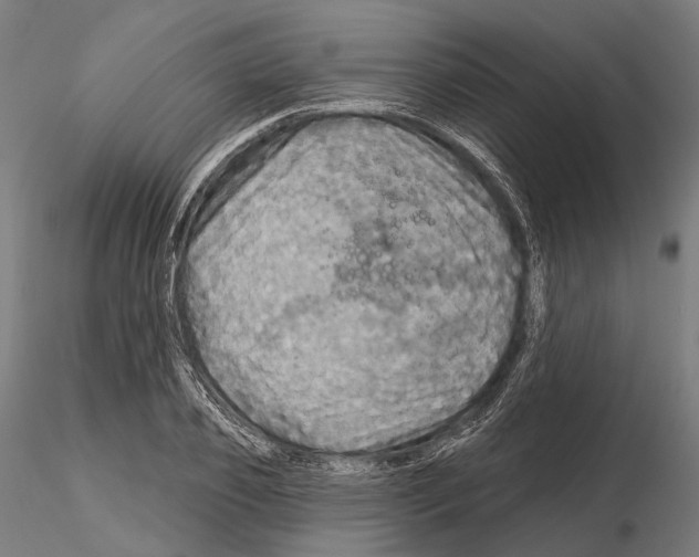 X0000114650933200912011109